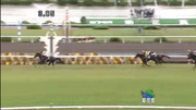 第74回菊花賞@京都競馬場