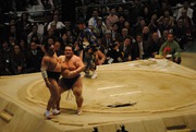 琴奨菊に