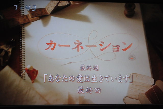 ¥«¡¼¥Í¡¼¥·¥ç¥óºÇ½ª½µ