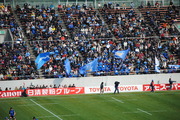 青目立つ
