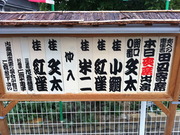 第578回田辺寄席
