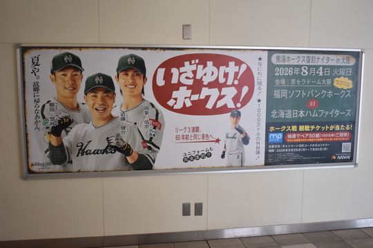 Izayuke hawks