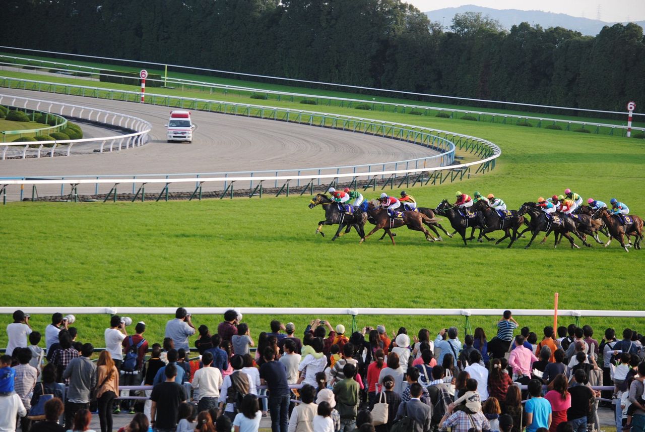 2番トーホージャッカルの一気の差し