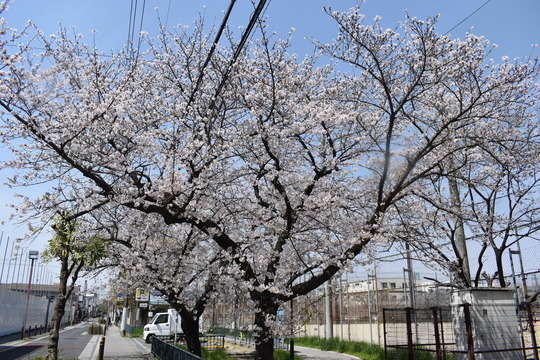 �ں���ʿ���������������콻�ȶ�ˤˤ�-09