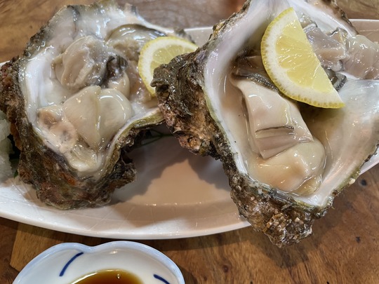 �䲴�ڡ����Ĳ�