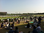 京都競馬場の馬場