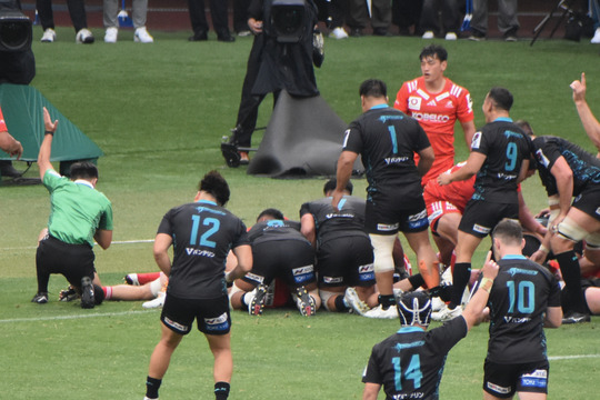DSC_1000 (1)