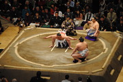 日馬富士土俵入り