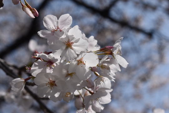 �ں���ʿ���������������콻�ȶ�ˤˤ�-13