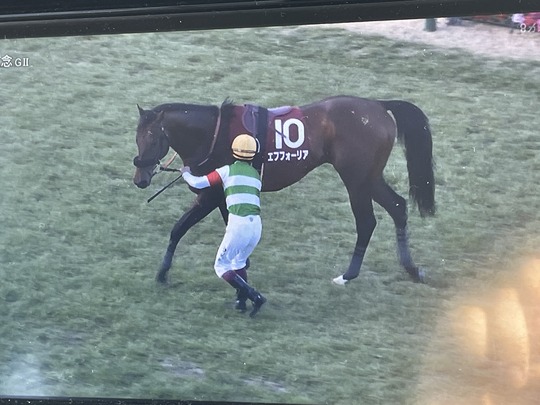 3DBDA08A-41EF-41C2-BDA2-910801A86C1F