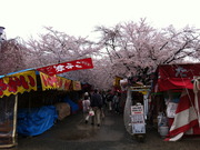 平野神社の屋台