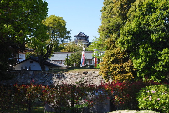 B18AA886-3AE1-4EC3-8B2F-AFB913E2208E_1_105_c