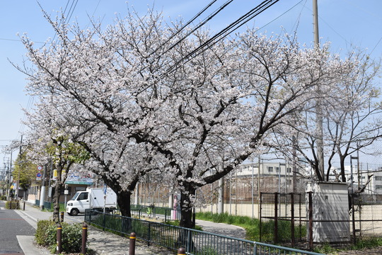 �ں���ʿ���������������콻�ȶ�ˤˤ�-10