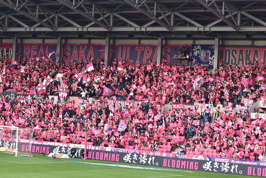 08FC004F-7F30-4818-955F-9F4549078FFA_1_105_c