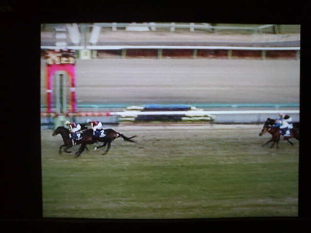 第54回有馬記念@中山競馬場 : MASARUのブログ 第54回有馬記念@中山競馬場 : MASARUのブログ
