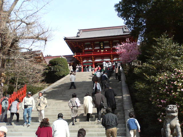 20070225鶴岡八幡宮-2