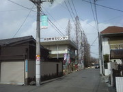 97e9cf98.jpg
