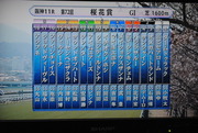 第72回桜花賞