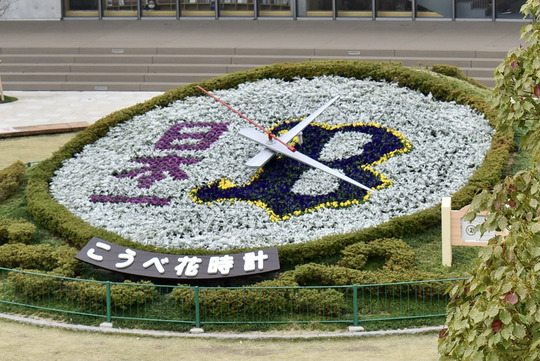 3F55BFCC-E78A-4809-AE6B-5A86BA982E8C_1_105_c