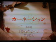 カーネーション第6週