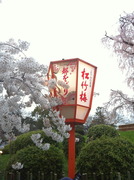 20120410µþÅԱ߻³¸ø±à¤Îºù