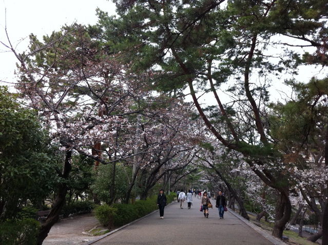 夙川沿いの遊歩道