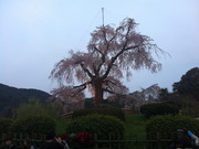 20120410µþÅԱ߻³¸ø±à»Þ¿â¤ìºù