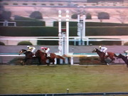 第60回阪神大賞典@阪神競馬場-2