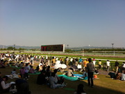 京都競馬場場内