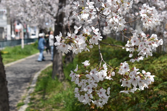 �ں���ʿ���������������콻�ȶ�ˤˤ�-05