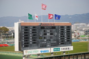 TMO判定中