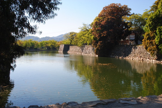 2EBA54AF-08B9-43F4-9444-D2997F2F665B_1_105_c