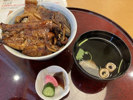 hi-unadon - senri unagi kyoto