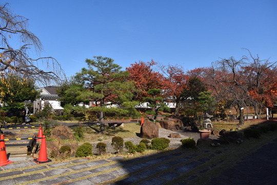AB187F87-6E8F-4F49-866B-11B86AD39FF9_1_105_c