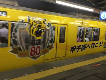 真っ黄っ黄