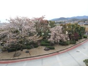 2014-04-13-11-39-03