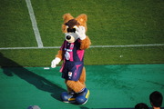 試合後-2