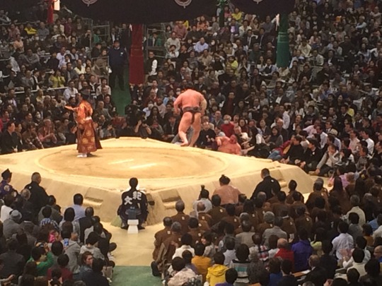 白鵬×嘉風