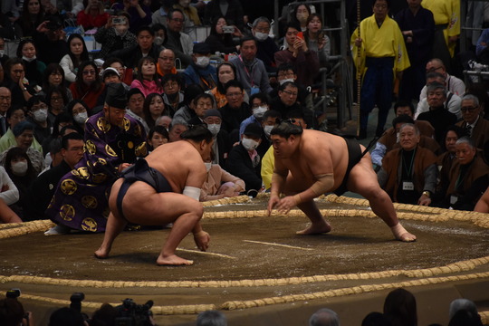 DSC_0571