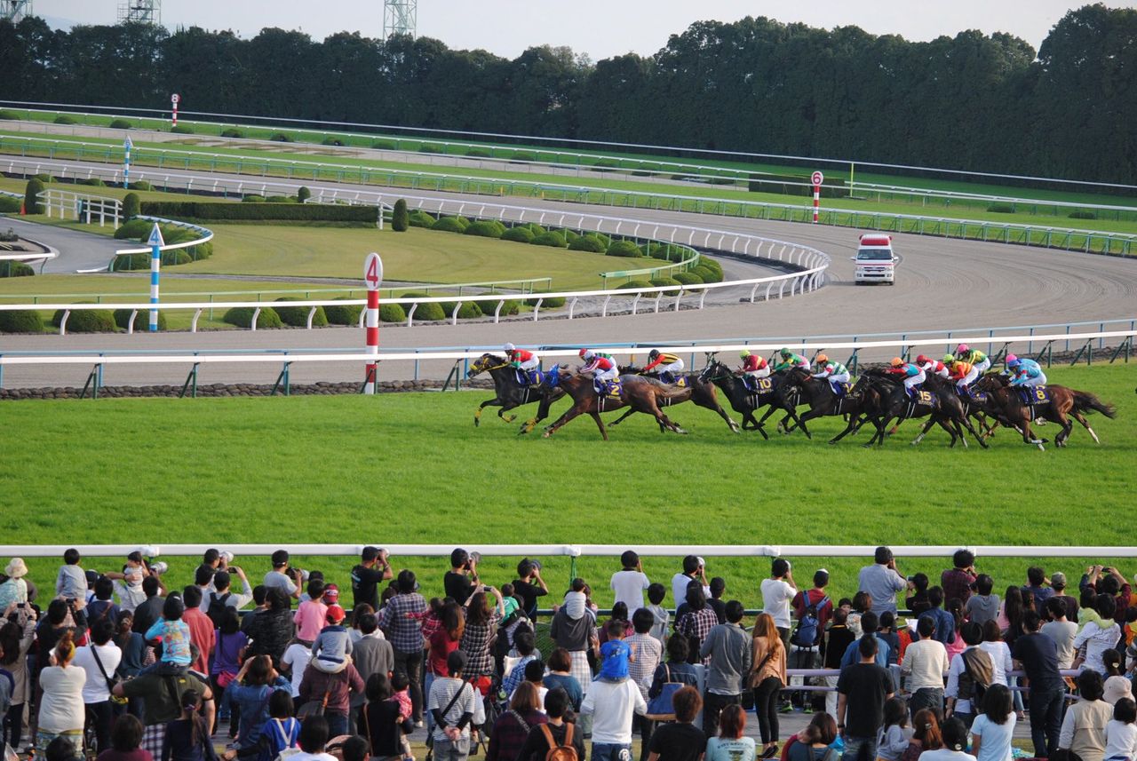 2番トーホージャッカルの一気の差し-2