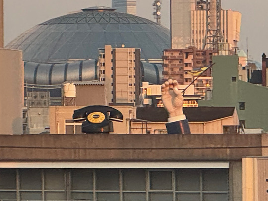 20260818À¾¶å¾ò´ÇÈÄ