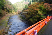 清滝川-2