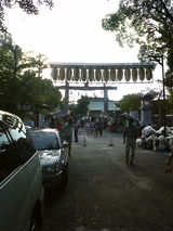 20080907ɧȬ¤Þ¤Ä¤ê-2