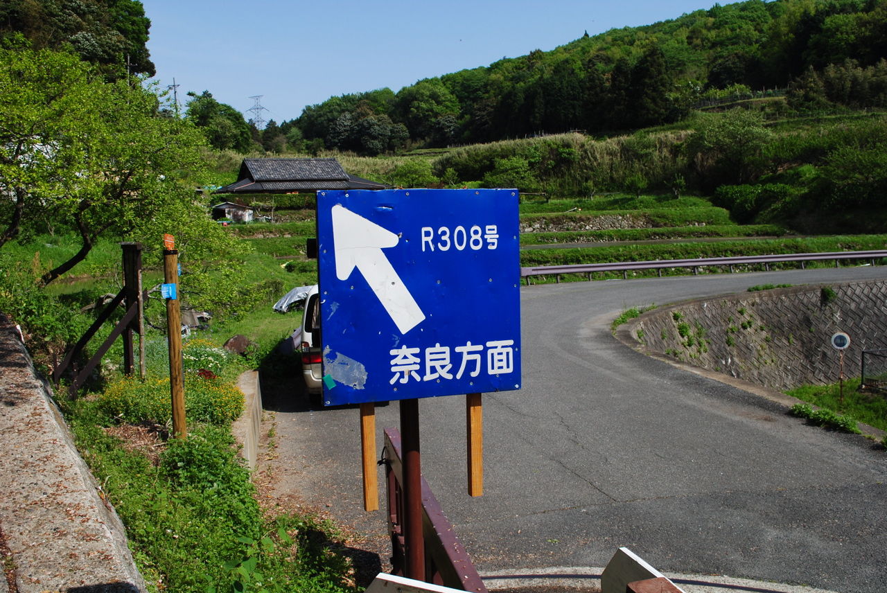 左国道-2