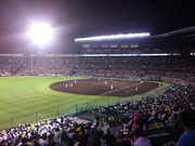 甲子園(右)