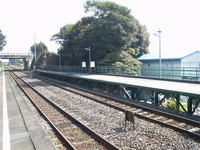 f11b8789.jpg