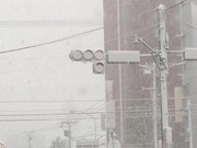 寒冷地のLED電球交通信号