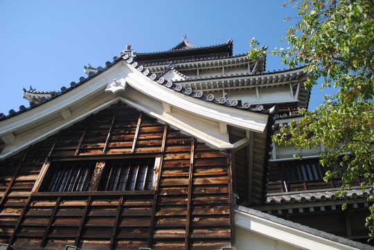 2A55A0CE-8D3F-415C-9B2A-263C488F79F0_1_105_c