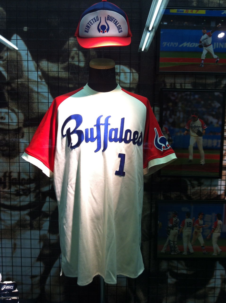 ¶áÅ´BuffaloesÉü¹ï-4