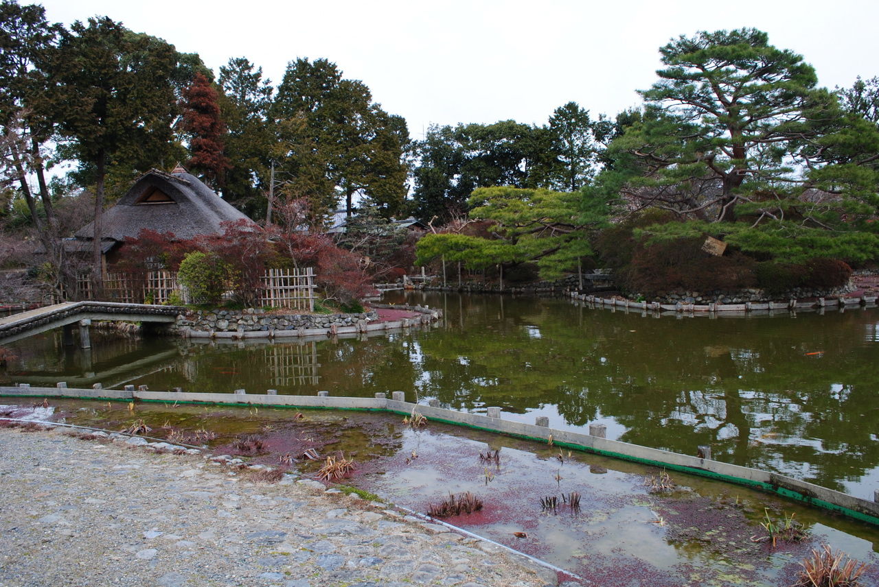 神苑@梅宮大社